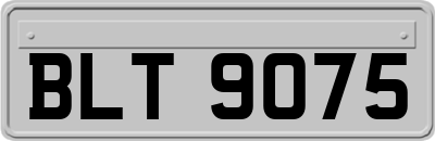 BLT9075
