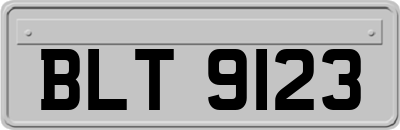 BLT9123