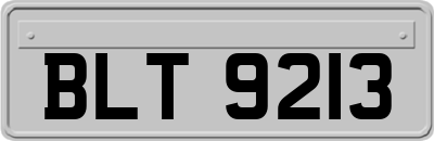 BLT9213