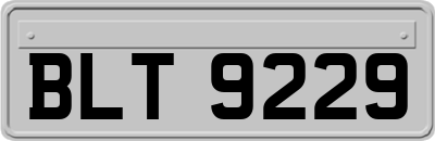 BLT9229