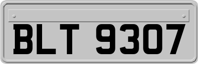 BLT9307