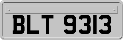 BLT9313