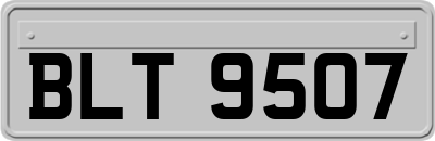 BLT9507