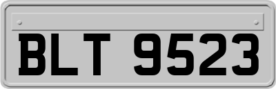 BLT9523