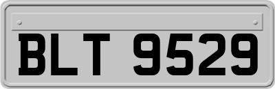 BLT9529