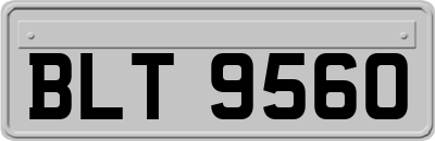 BLT9560