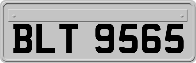 BLT9565