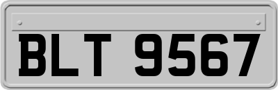 BLT9567