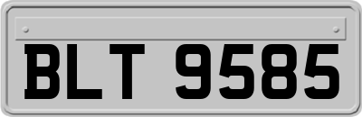 BLT9585