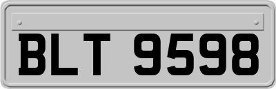 BLT9598