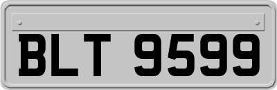BLT9599