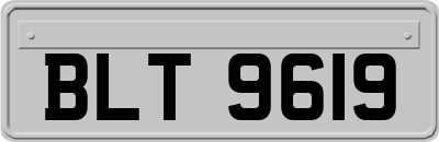BLT9619