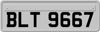 BLT9667