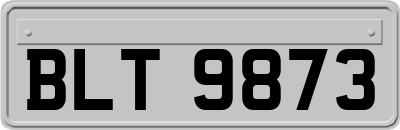BLT9873