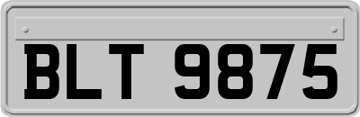 BLT9875