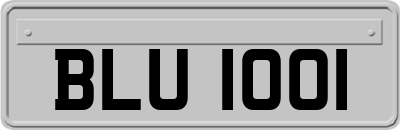 BLU1001