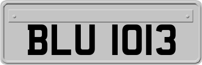 BLU1013