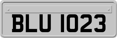 BLU1023
