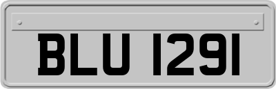 BLU1291