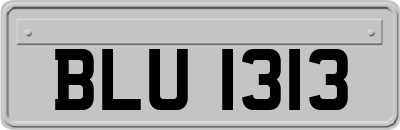 BLU1313