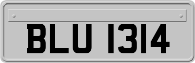 BLU1314