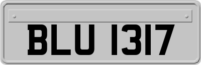 BLU1317
