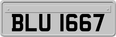 BLU1667