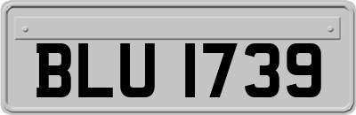 BLU1739