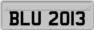 BLU2013