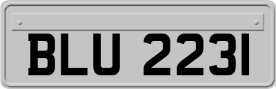 BLU2231