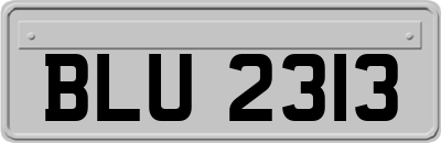 BLU2313