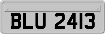 BLU2413
