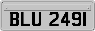 BLU2491