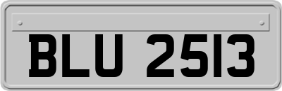 BLU2513