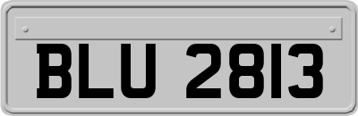 BLU2813