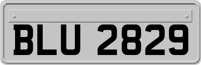 BLU2829