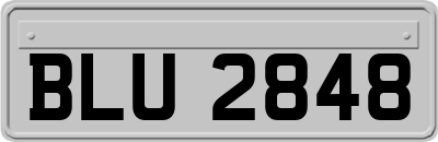BLU2848