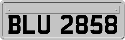 BLU2858
