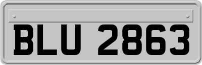 BLU2863