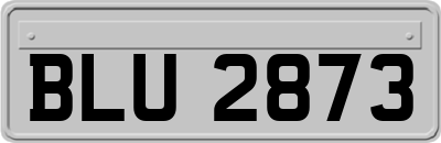BLU2873