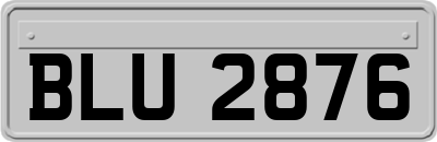 BLU2876
