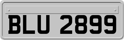 BLU2899