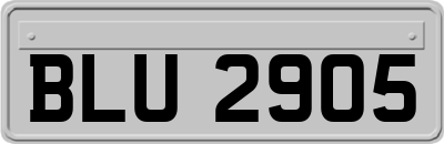 BLU2905