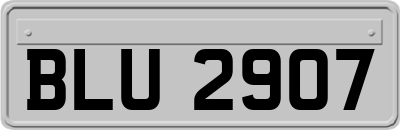 BLU2907