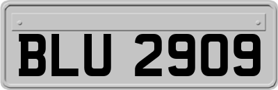 BLU2909
