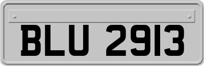 BLU2913