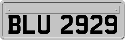 BLU2929