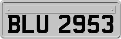 BLU2953