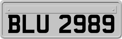 BLU2989