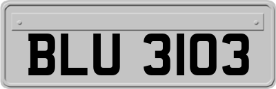 BLU3103